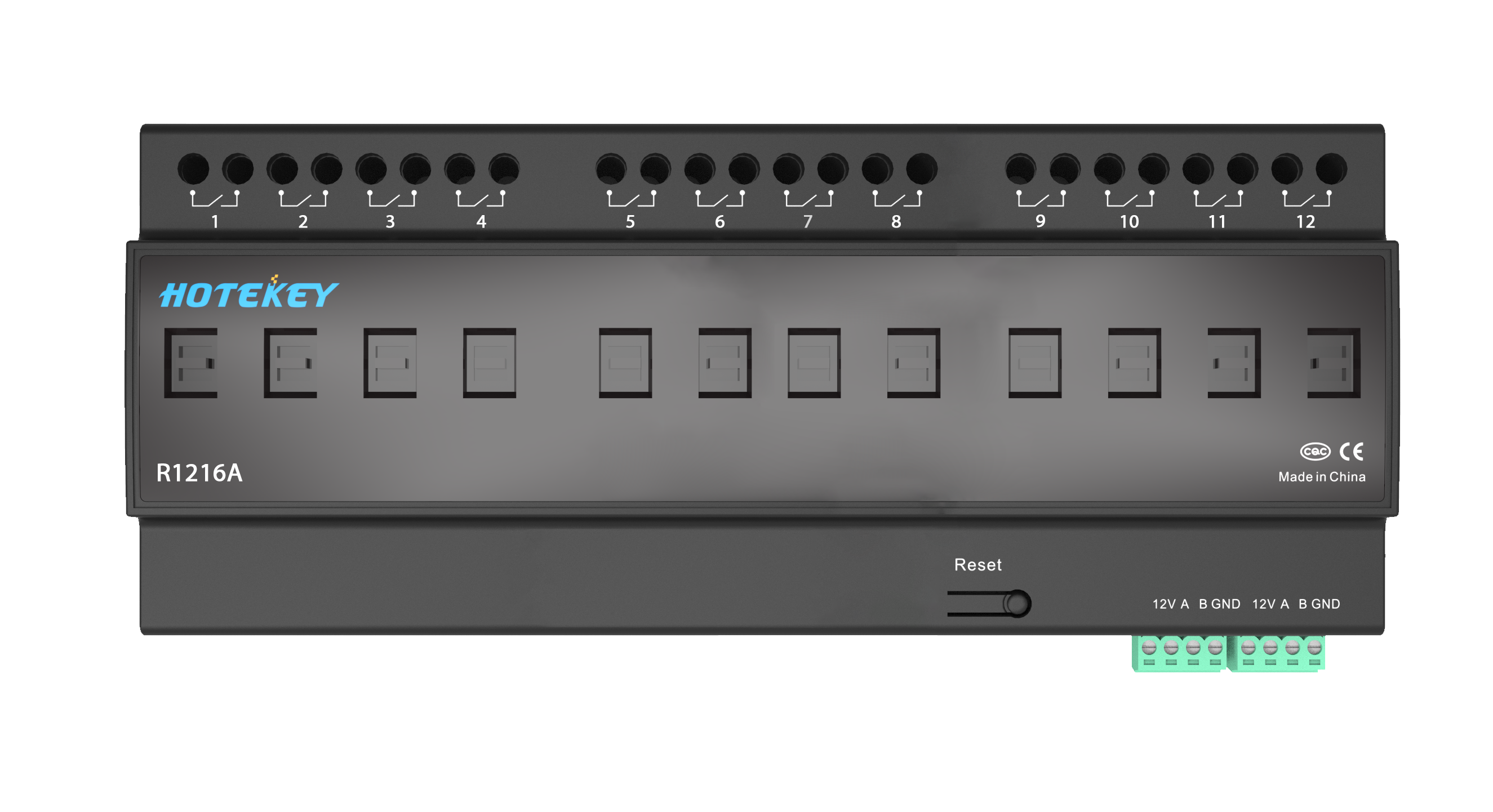 12-Channel 16A Relay Module